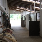 Cabanha OCA - Cavalos Crioulos - Santa Catarina